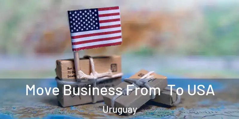  Move Business From To USA Uruguay